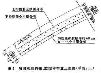 圖2 加固拱肋的錨、膠貼件布置正面圖（單位：cm）