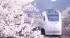 和諧號(hào)列車(chē)穿越居庸關(guān)花海